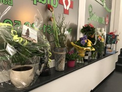 Er&ouml;ffnung von diapodo 2